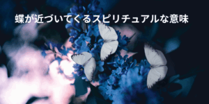 蝶が近づいてくるスピリチュアルな意味｜止まる・追いかけてくる時のメッセージ