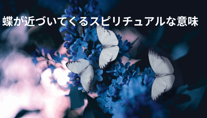 蝶が近づいてくるスピリチュアルな意味｜止まる・追いかけてくる時のメッセージ