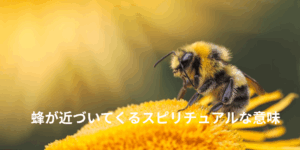 蜂が近づいてくるスピリチュアルな意味｜刺されない・体に止まる時のメッセージ
