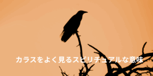 カラスをよく見るスピリチュアルな意味｜不吉じゃない、カラスが伝えるメッセージ