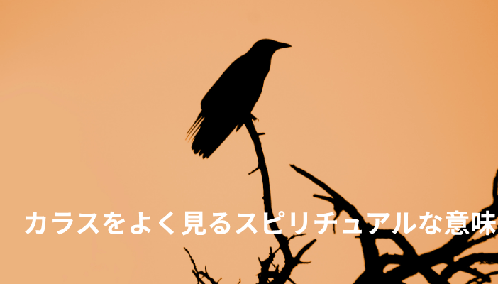 カラスをよく見るスピリチュアルな意味｜不吉じゃない、カラスが伝えるメッセージ
