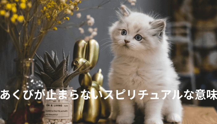 あくびが止まらないスピリチュアルな意味｜浄化のサインと、受診を考える目安