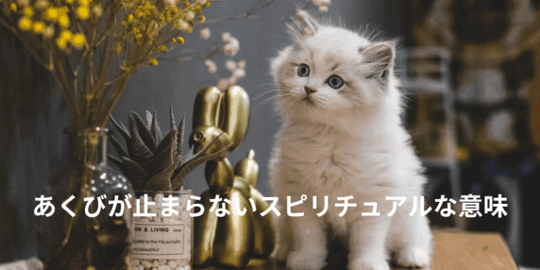 あくびが止まらないスピリチュアルな意味|浄化のサインと、受診を考える目安
