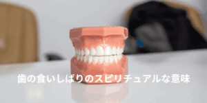 歯の食いしばりのスピリチュアルな意味｜顎に力が入るとき、飲み込んでいるもの